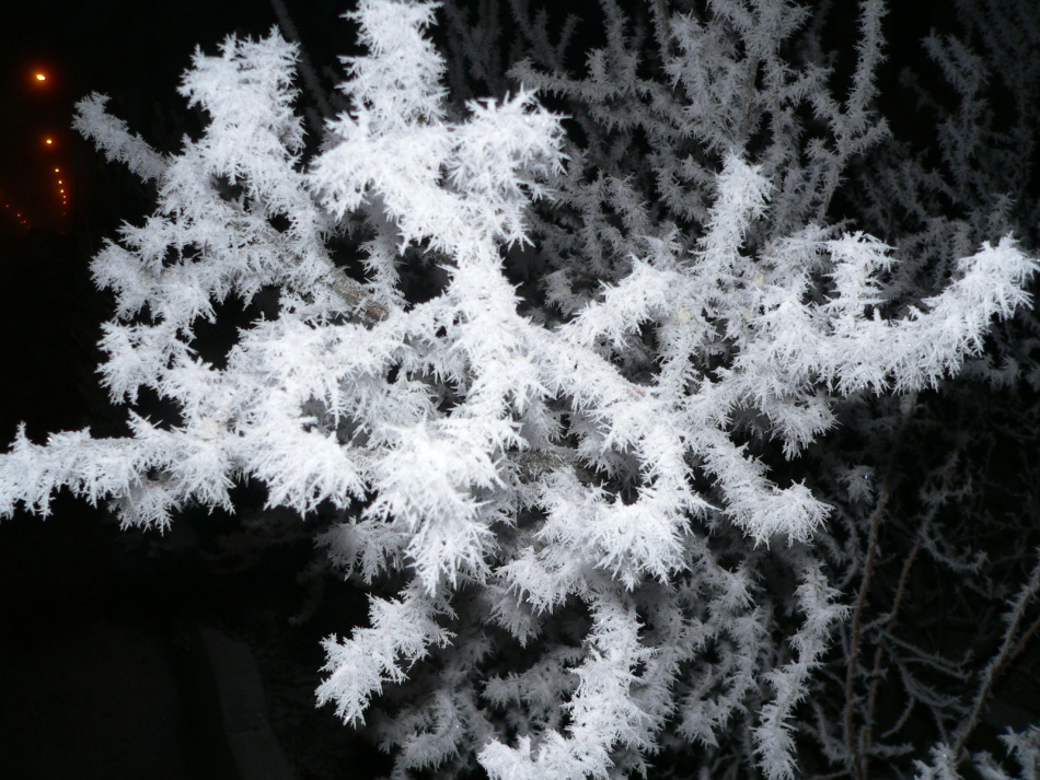 Neve artificiale salata