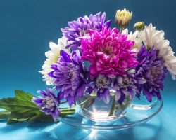 How long to save the bouquet of chrysanthemums in a vase?