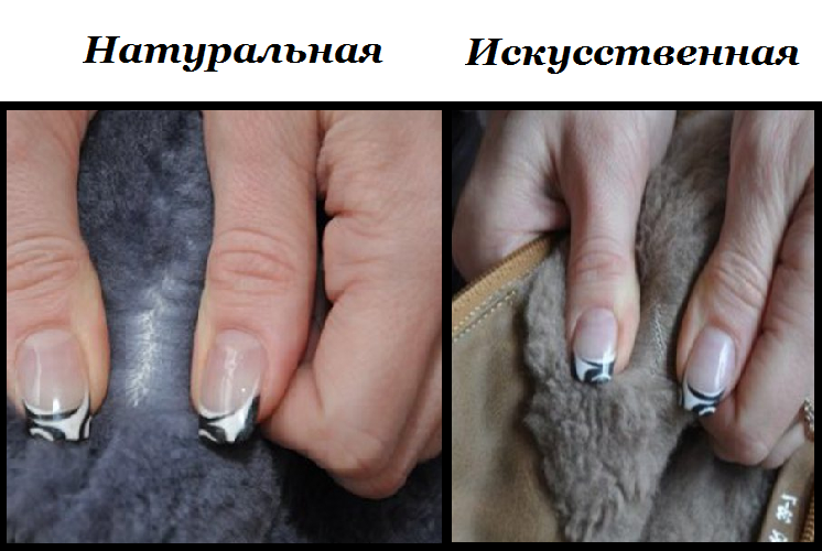 Comparison of internal fur