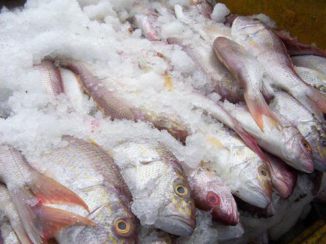 Comment et combien de poissons trop salés? Comment tremper le poisson salé dans l'eau et le lait? Quel processus se passe-t-il lors du trempage des poissons salés?