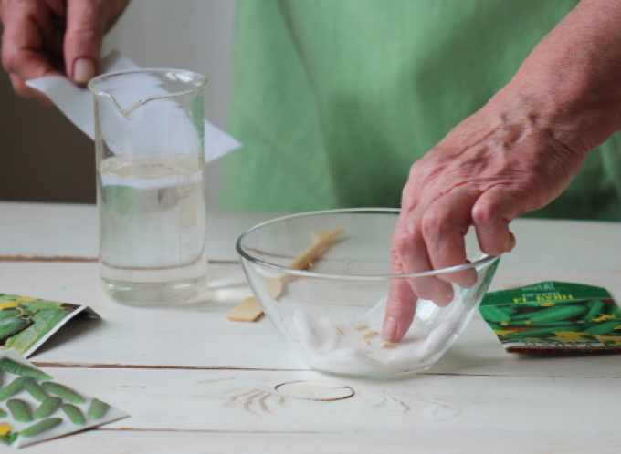 Touching the seeds