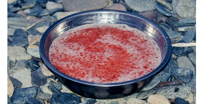 Caviale fresco di salmone rosa in tuzluk