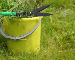 Come preparare il fertilizzante verde dall'erba?