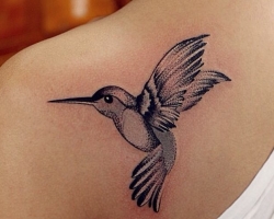 Tattoo bird, a flock of birds: the historical, semantic meaning of the image of a bird, the origin of the bird tattoo, examples, photos, videos, sketches. What does a tattoo of a hot-bird, a dove, a seagull, owl, an owl, a hummingbird, an eagle, a Phoenix, a bird pen for men and girls?