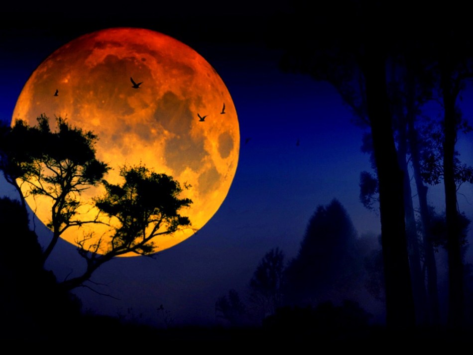 Whispers for love in the full moon