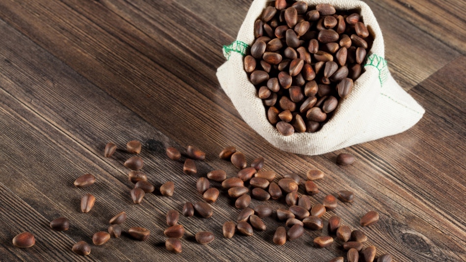 Kacang cedar adalah produk nutrisi berharga yang diserap oleh tubuh kita hampir 100%