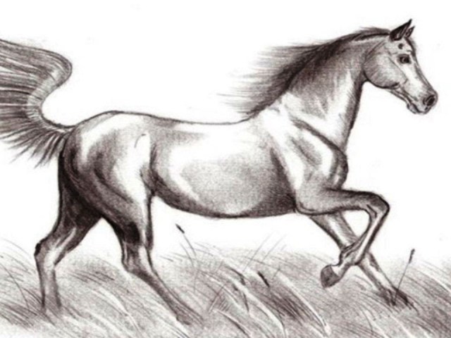 Hogyan rajzoljunk egy igazi lovat egy ceruzával a kezdőknek és a gyerekeknek? Hogyan húzzunk szépen egy arcot, egy ló sörényét, futó, álló lóját, egy ugrást?
