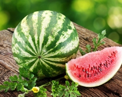 Ist es möglich, Wassermelone bei Diabetes, Gastritis, Pankreatitis und Verstopfung zu essen? Was tun mit Wassermelonenvergiftung?