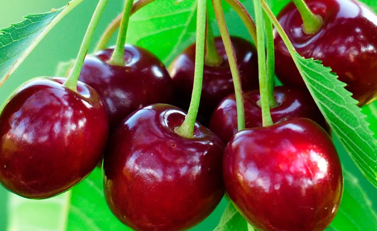 Berries: Best product