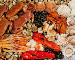 Περιεχόμενο θερμίδων του κρέατος, των ψαριών και των θαλασσινών: ένα τραπέζι θερμίδων ανά 100 γραμμάρια