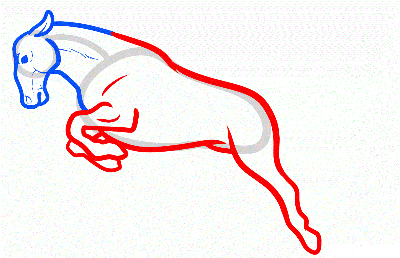 Лошадь в прыжке рисунок поэтапно