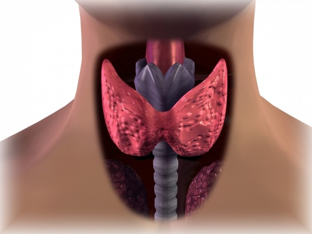 Elenco delle malattie di base del sistema endocrino: cause, segni, sintomi. Quali test sono effettuati per le malattie del sistema endocrino?