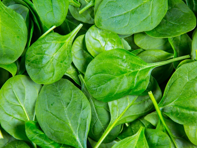 Is it possible to eat spinach raw - benefits and possible harm