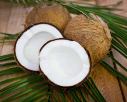 Како можете заменити кокосову крему у рецепту за печење, ускршњи колач? Како развити крему кокосова да бисте добили млеко?
