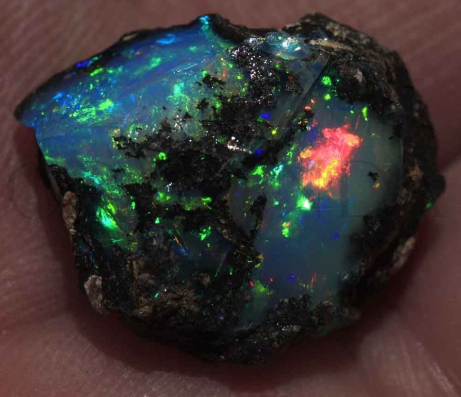 Une rare opale noire