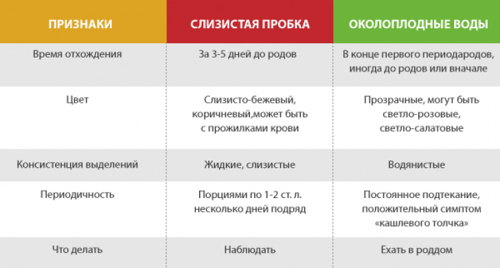 Предвестники отхождения околоплодных вод