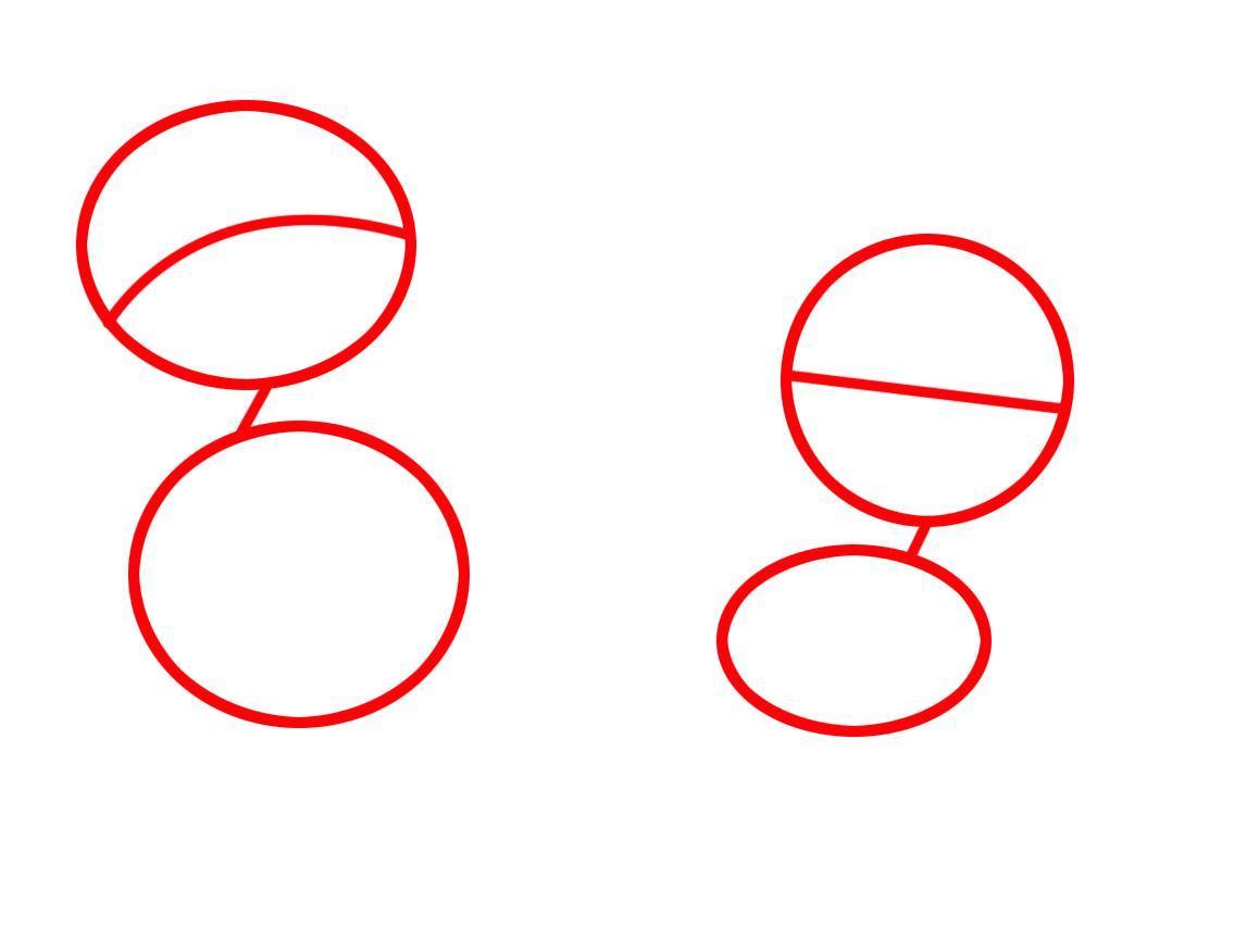 Kami menggambar beberapa bentuk sederhana, dua lingkaran untuk kepala dan dua bentuk, seperti pada gambar untuk tubuh