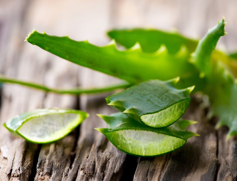 According to Ayurveda, aloe helps with liver problems