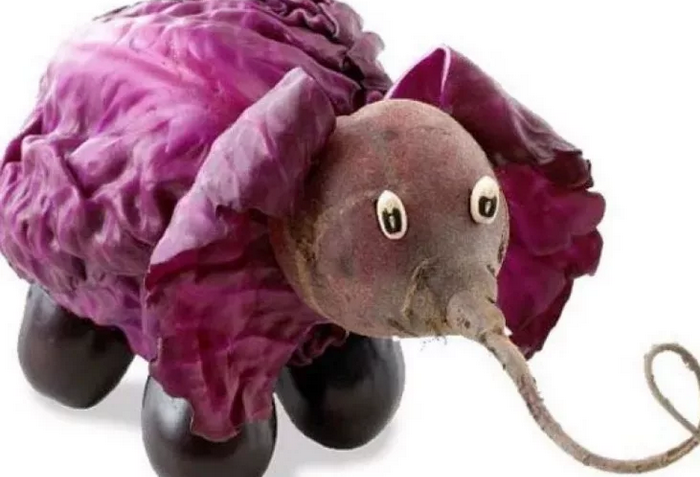 Elephant from beets