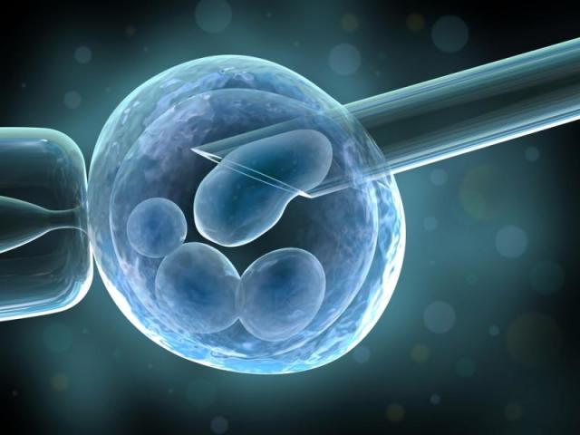 What is the essence of IVF? Indications for the use of extracurporeal fertilization?
