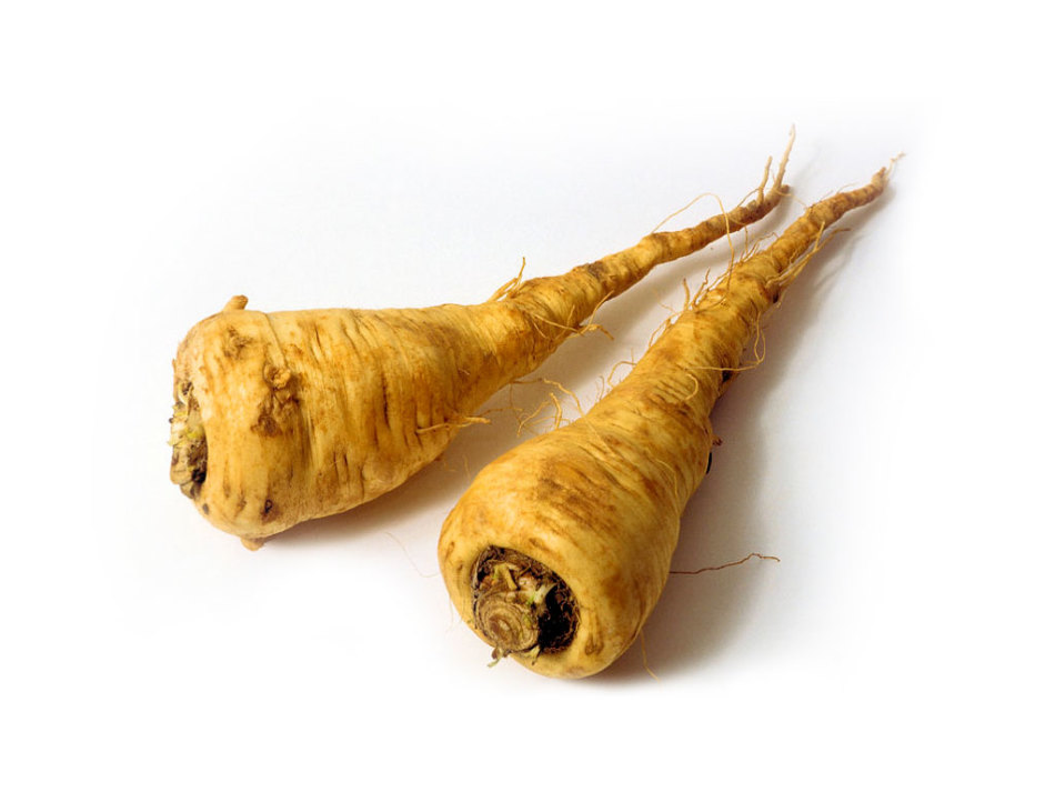 Parsley root against golden staphylococcus