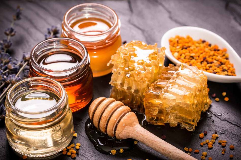 How to store honey at home: the temperature and conditions of proper storage of honey after pumping
