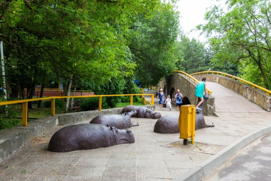 Rostov Zoo is what you must visit in the city