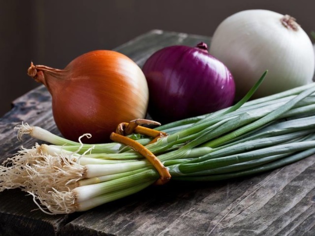 Preparation of onions Sevka, family for planting, planting onions in the spring in open ground on the head and feather: terms, description of the technology. What to soak the onion before landing in the spring: recipe