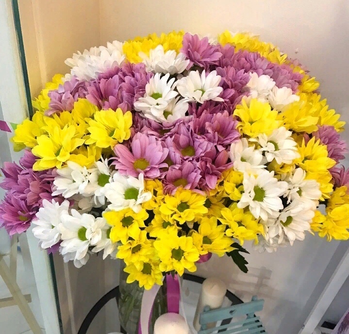 لوحة ألوان chrysanthemums مذهلة!