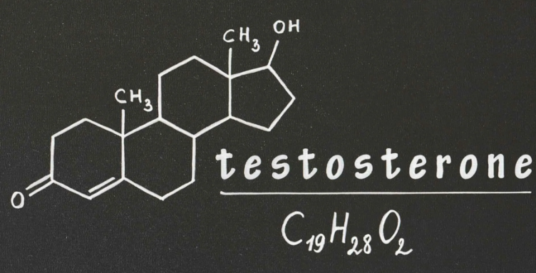 Le niveau de testostérone ne peut pas être vérifié à la maison