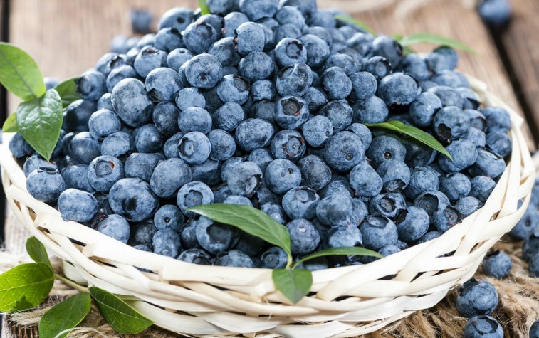 Blueberries quickly reduces weight