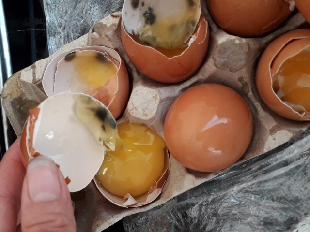 Как сделать тухлое яйцо, чтобы воняло, быстро? Как проверить тухлое яйцо или нет?
