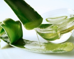 How to squeeze out aloe juice at home? How to use squeezing from aloe?
