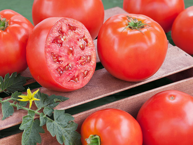 How to feed tomatoes during and after planting seedlings in a greenhouse and open ground, dive, during flowering, fruiting, how to make a basic and fuel feeding tomato? How to determine how to feed the tomatoes if the leaves are yellow, purple, small fruits, or they are burning?