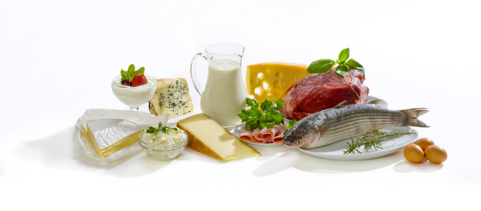 Protein foods - components of many diets