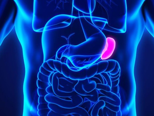 How to check the spleen: what tests to take?