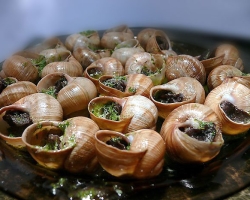 Comment préparer délibérément les escargots de raisin produit semi-finis: recettes, conseils culinaires. Comment couper et préparer des escargots de raisin pour la cuisson?