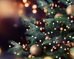 Comment habilement à la mode et magnifiquement habillé un arbre de Noël vivant: idées, belles images, photos. De quelles couleurs est-il à la mode de décorer l'arbre de Noël pour la nouvelle année et Noël? À quoi devrait ressembler un arbre de Noël à la mode: photos des arbres de Noël de design le plus à la mode et les plus beaux du Nouvel An