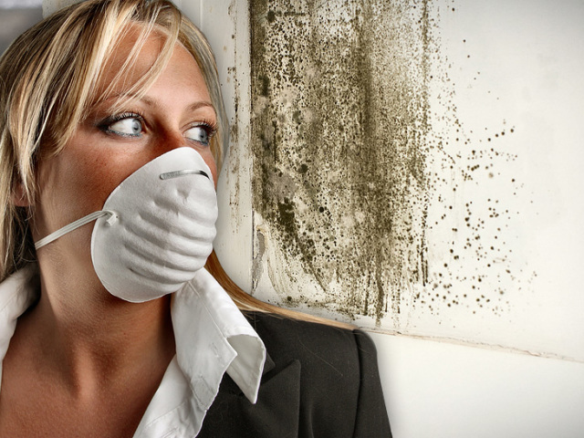 L'odeur de l'humidité: causes, méthodes folkloriques d'élimination, pointes. Comment obtenir l'odeur de l'humidité dans l'appartement? Comment se débarrasser de l'odeur de l'humidité sur les meubles, dans une voiture?