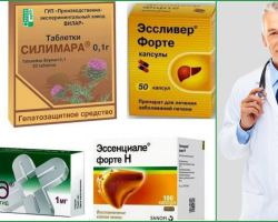 Hepatoprotectors: a list of the best liver preparations with proven effectiveness