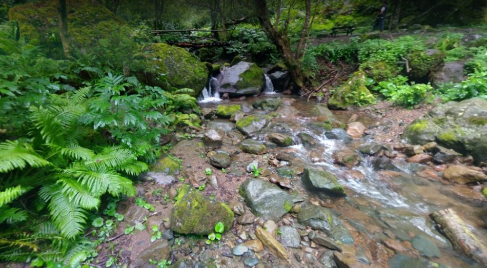 Un ruisseau dans le parc national mtiral près de Batumi
