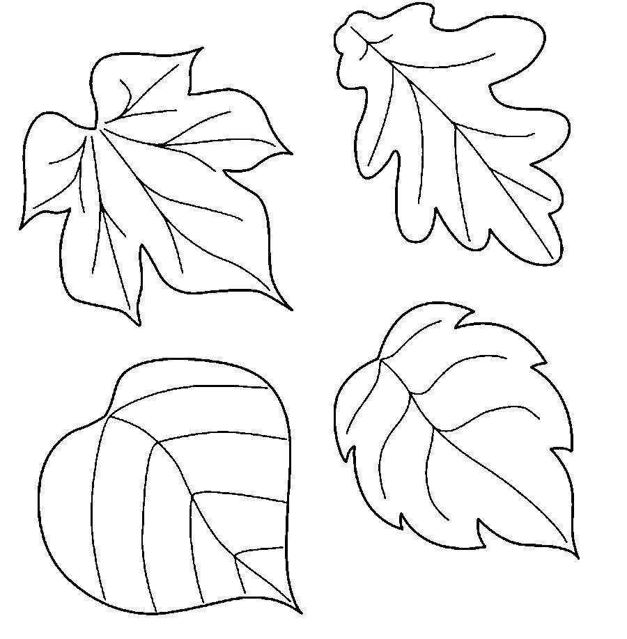 Stencil leaves of flowers - templates