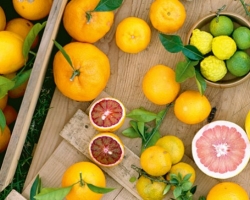 Citrus plodovi: popis imena, kratki opis, fotografija