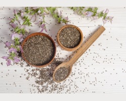 Chia seeds: benefits and harm to women and men, calorie content, composition, glycemic index, contraindications, pp recipes