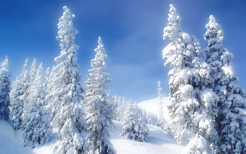 Hutan musim dingin dalam mimpi menandakan pencapaian mukjizat dalam kenyataan.