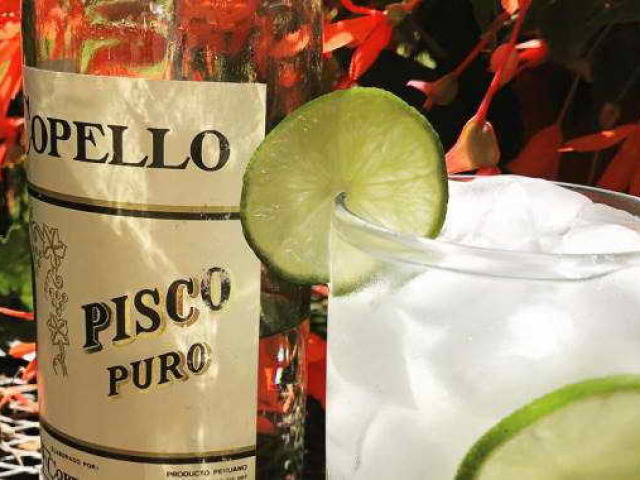 Pisisco Drink du Pérou et du Chili: caractéristiques, recettes de cocktails, Pus-Sauer
