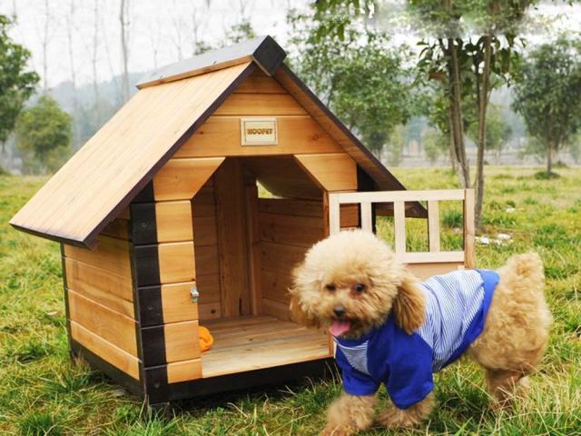 Diy diy booth untuk seekor anjing: dimensi, gambar, pilihan bahan, foto