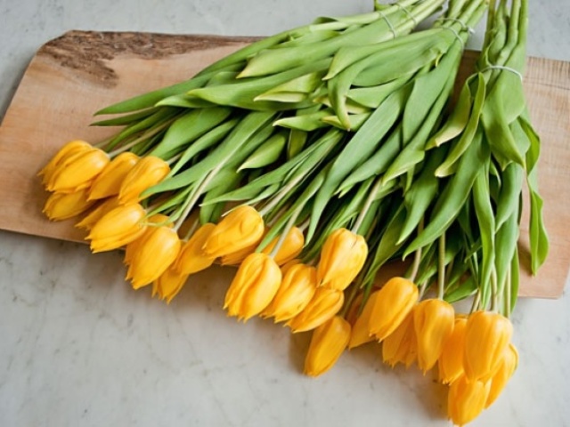 Tulipes jaunes: donner à quoi? Quelles tulipes jaunes dans la langue des fleurs indiquent: signification, description. Est-il possible de donner des tulipes jaunes le 8 mars, tout comme une femme, une fille? Pourquoi les tulipes jaunes sont-elles des messagers de séparation?