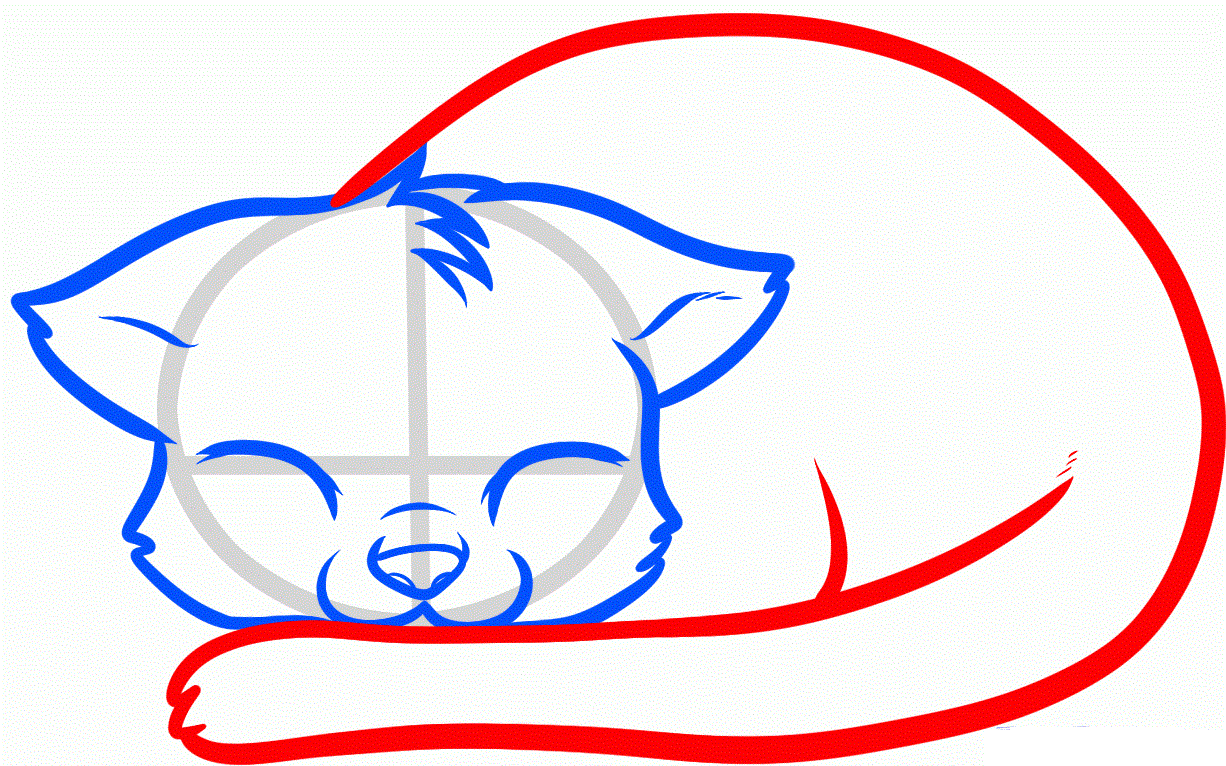 Как нарисовать красиво лежащую кошку: прорисовка тела животного (шаг 8).