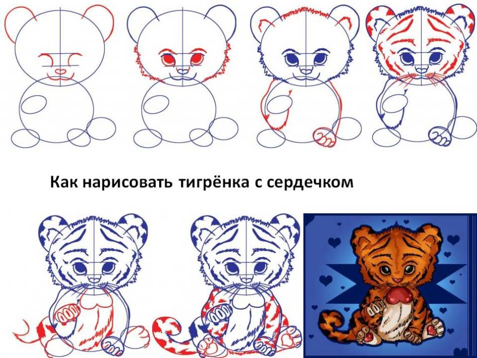 How to draw a tiger -heart with a heart